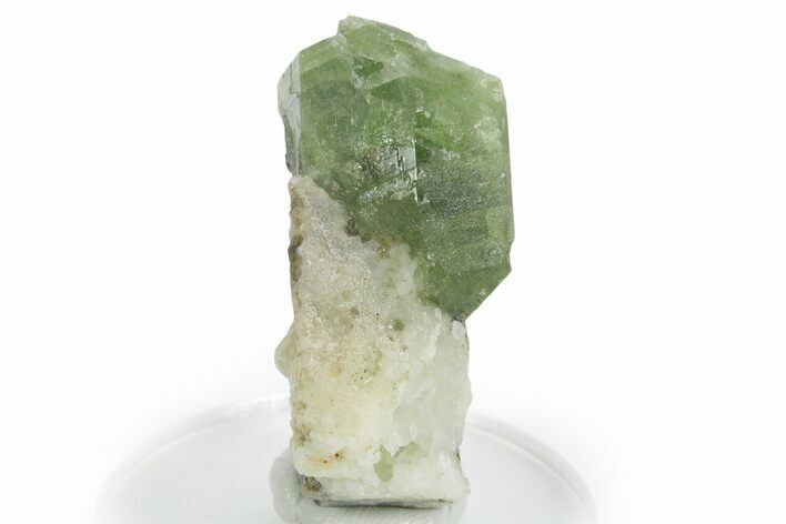 Glossy Diopside Crystals on Calcite - Afghanistan #354663